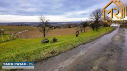 Grunt rolny koło Tarnowa - Obrazek 2