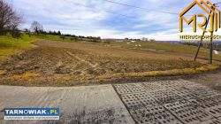 Rola koło Tarnowa - Obrazek 3