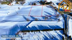 Rola koło Tarnowa - Obrazek 1