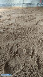 Piasek zasypowy, zasyp fundamentów - Obrazek 1