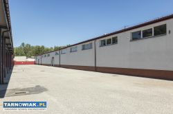 Magazyn, Hala magazynowa - Obrazek 1