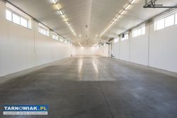 Magazyn, Hala magazynowa - Obrazek 2