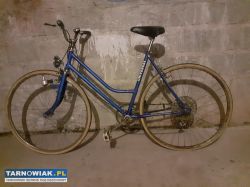 Rower Universal - Obrazek 1