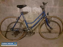 Rower Universal - Obrazek 2