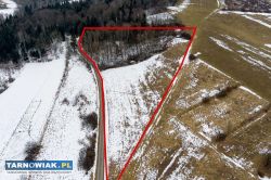 Działka widokowa Zborowice - gm. Ciężkowice! - Obrazek 1