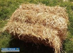 Sprzedam słomę - Obrazek 1