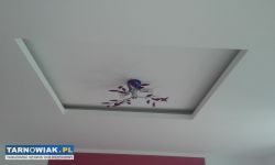 Regipsy Remonty Gładzie Poddasza - Obrazek 1