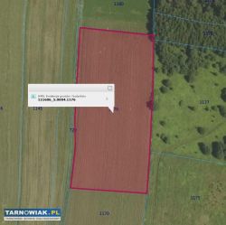 działki rolne, las,łąka- 2,96 ha - Obrazek 1