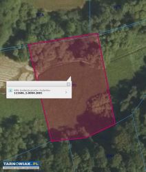 działki rolne, las,łąka- 2,96 ha - Obrazek 3
