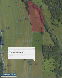 działki rolne, las,łąka- 2,96 ha - Obrazek 2