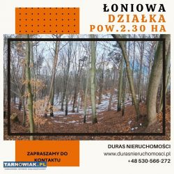 Działka rolno-leśna 2.30 ha - Obrazek 1