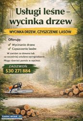 Drewno wycinka - Obrazek 1