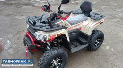 Quad challenger 250 t3b homologacja atv asix - Obrazek 1