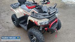 Quad challenger 250 t3b homologacja atv asix - Obrazek 2