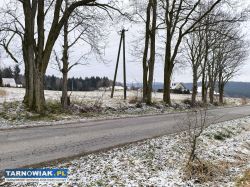 Piękne Dzialki budowlane - Obrazek 3