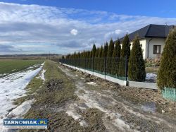 Ogrodzenia z pomysłem - Obrazek 2