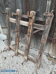 Stara brona konna - Obrazek 2