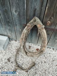 Stare homonto drewniane - Obrazek 2