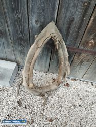 Stare homonto drewniane - Obrazek 3