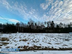 Działka 0,2890 ha Pogórska Wola - Obrazek 2