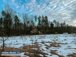 Działka 0,2890 ha Pogórska Wola - Obrazek 3