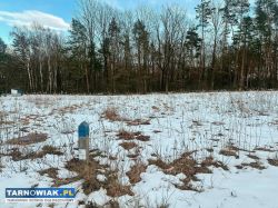 Działka 0,2890 ha Pogórska Wola - Obrazek 1