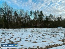 Działka 0,2890 ha Pogórska Wola - Obrazek 4