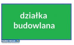 Osiem działek Dąbrowa Tarnowska - centrum - Obrazek 2