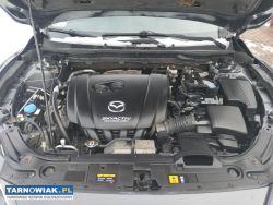 Sprzedam - Obrazek 4