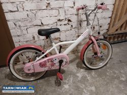 Rower koła rm.16 - Obrazek 1