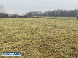 Działka usługowo - mieszkalna Wola Rządzińska - Obrazek 2