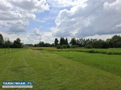 Na sprzedaż działka z warunkami zabudowy. - Obrazek 3