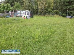 Na sprzedaż działka z warunkami zabudowy. - Obrazek 4