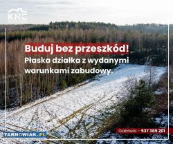 Smyków (powiat dąbrowski | gm. Radgoszcz) - Obrazek 3