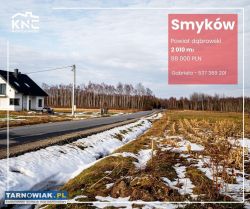 Smyków (powiat dąbrowski | gm. Radgoszcz) - Obrazek 4