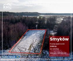 Smyków (powiat dąbrowski | gm. Radgoszcz) - Obrazek 1