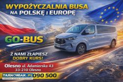 Bus 9 osób wynajem - Obrazek 1