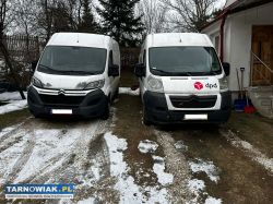 Usługi Transportowe - Obrazek 1