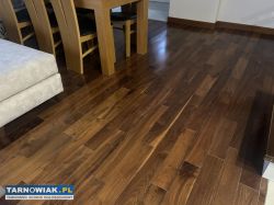 Parkiet - orzech - Obrazek 2