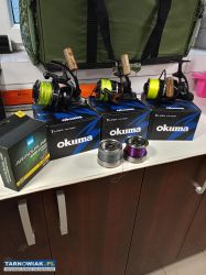 Okuma T-rex - Obrazek 1