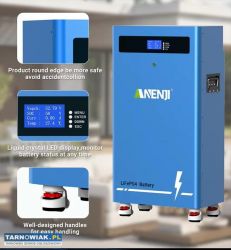Anenji Magazyn Energii LiFePo4-15kWh-300Ah - Obrazek 1