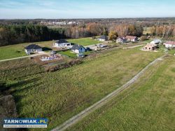 ŁŁ 1717 - ostatnia działka - Obrazek 2