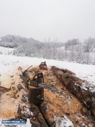 Pielęgnacja ogrodów koszenie karczowanie - Obrazek 1