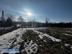 Działka Rolno - Budowlana | Siemiechów | 12 ar - Obrazek 3