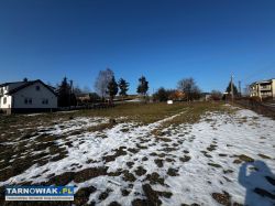 Działka Rolno - Budowlana | Siemiechów | 12 ar - Obrazek 2