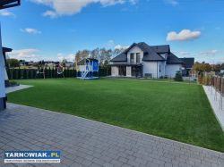 Usługi ogrodnicze i nie tylko. - Obrazek 3