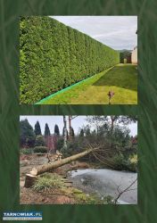 Poszukuję zleceń ogrodniczych i nie tylko. - Obrazek 2