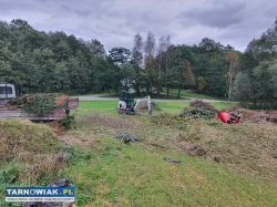 Poszukuję zleceń ogrodniczych i nie tylko. - Obrazek 4
