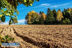 Działka budowlana - Obrazek 2