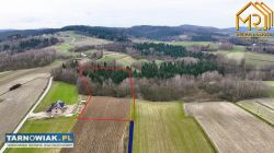 Duża działka rolno – leśna w gm. Gromnik - Obrazek 2